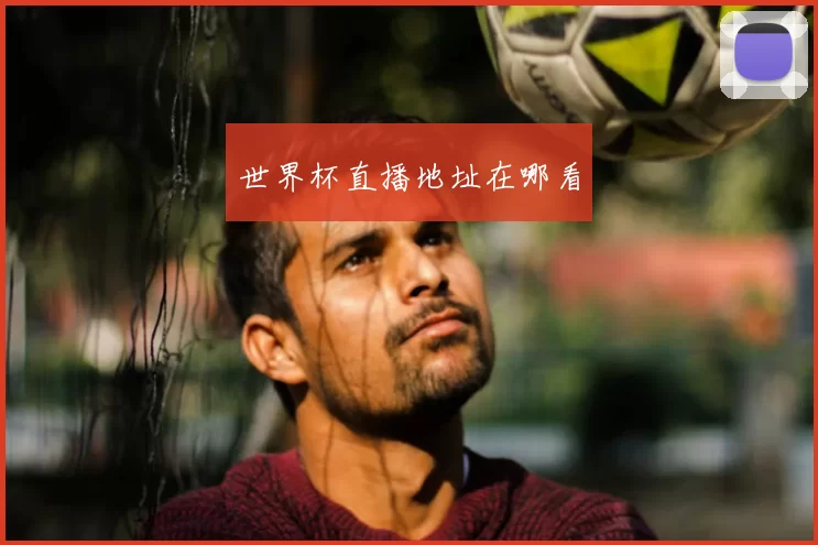 世界杯直播地址在哪看