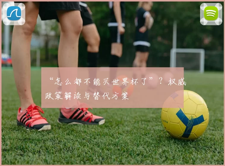 “怎么都不能买世界杯了”?权威政策解读与替代方案