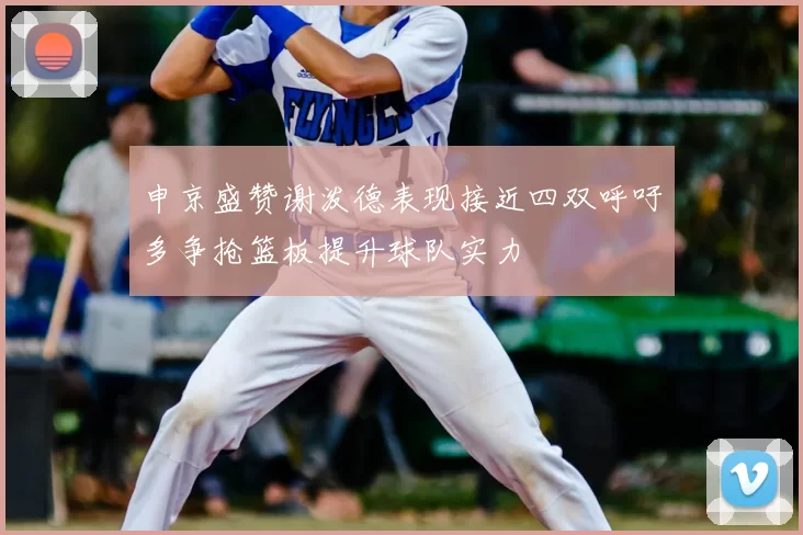 申京盛赞谢泼德表现接近四双呼吁多争抢篮板提升球队实力