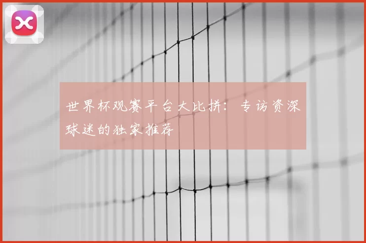 世界杯观赛平台大比拼:专访资深球迷的独家推荐