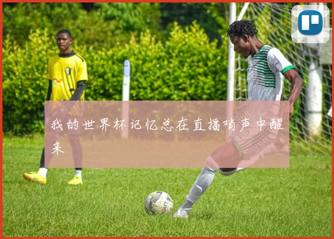 我的世界杯记忆总在直播哨声中醒来