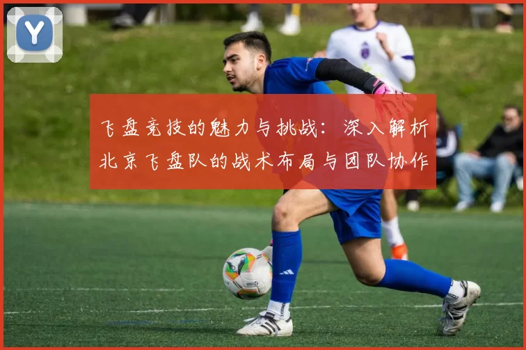 飞盘竞技的魅力与挑战:深入解析北京飞盘队的战术布局与团队协作