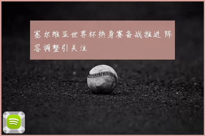 塞尔维亚世界杯热身赛备战推进 阵容调整引关注