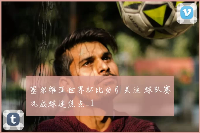 塞尔维亚世界杯比分引关注 球队赛况成球迷焦点_1