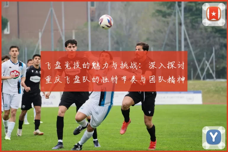 飞盘竞技的魅力与挑战:深入探讨重庆飞盘队的独特节奏与团队精神