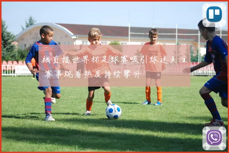 线直播世界杯足球赛吸引球迷关注 赛事观看热度持续攀升