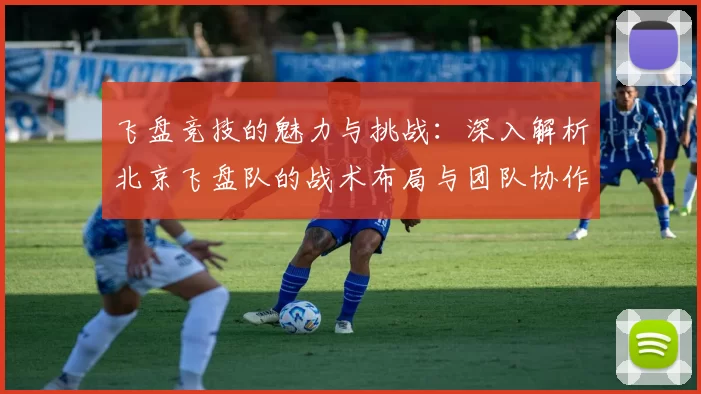 飞盘竞技的魅力与挑战：深入解析北京飞盘队的战术布局与团队协作