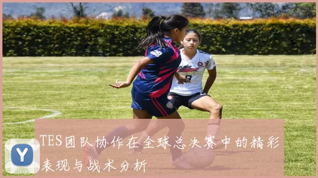 TES团队协作在全球总决赛中的精彩表现与战术分析