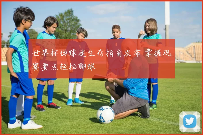 世界杯伪球迷生存指南发布 掌握观赛要点轻松聊球