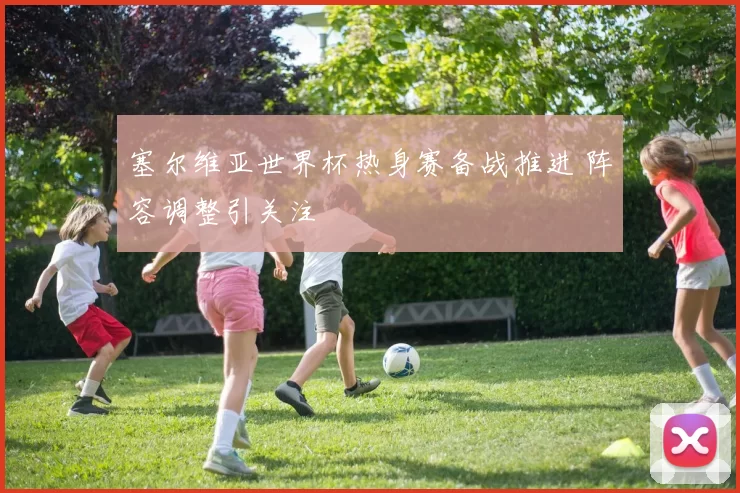 塞尔维亚世界杯热身赛备战推进 阵容调整引关注