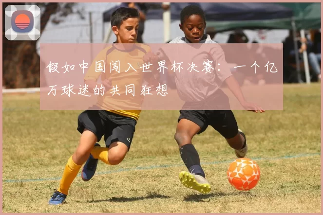 假如中国闯入世界杯决赛：一个亿万球迷的共同狂想